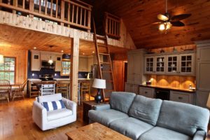 Stoney Lake island cottage renovation - living room